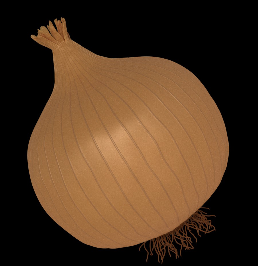 Onion preview image 1